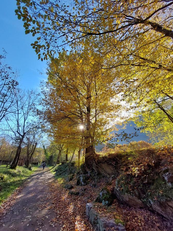 Villaggio Turistico Il Dorato Camping *
