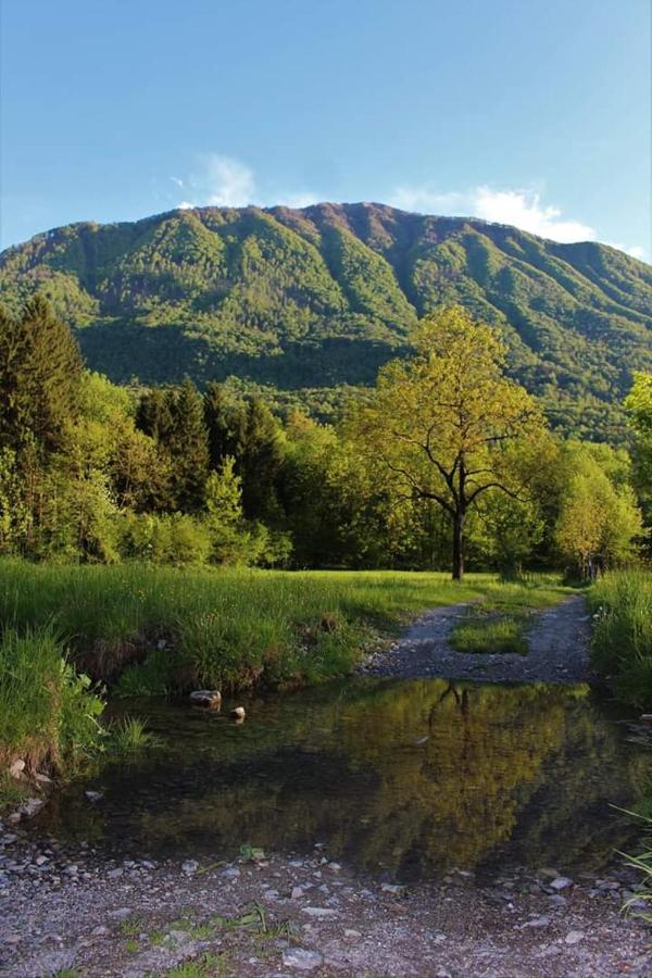 Camping Villaggio Turistico Il Dorato